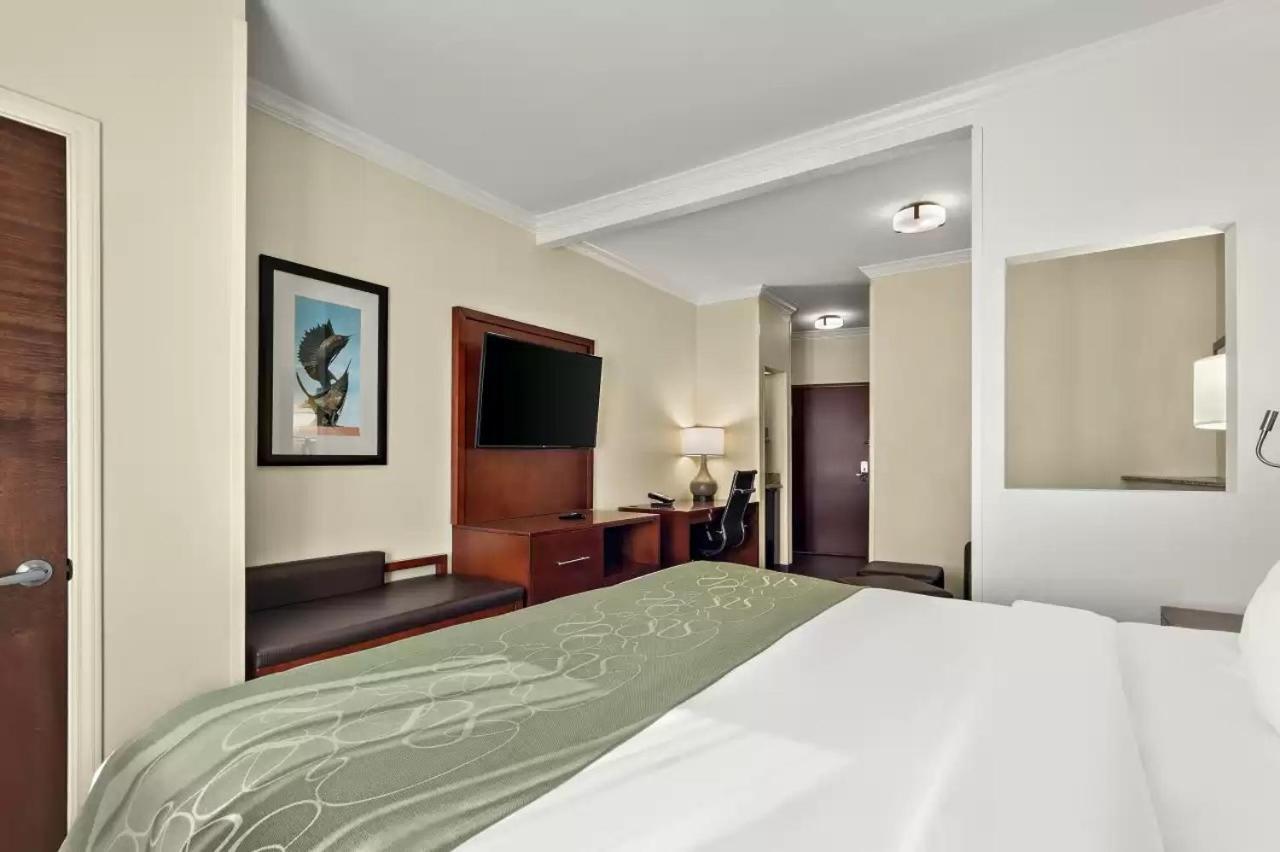 Comfort Suites Central Corpus Christi Bagian luar foto