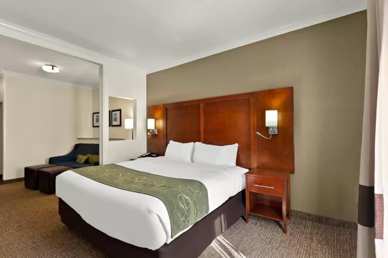 Comfort Suites Central Corpus Christi Bagian luar foto