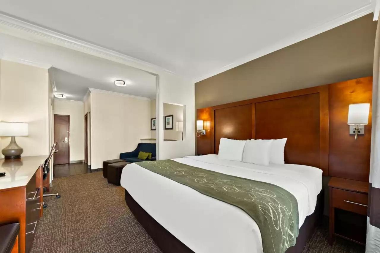 Comfort Suites Central Corpus Christi Bagian luar foto