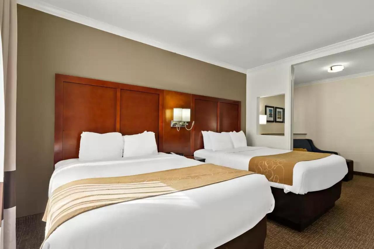 Comfort Suites Central Corpus Christi Bagian luar foto